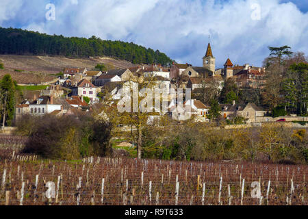 Weinberge im Winter, Beaune, in der Nähe von Dijon, Burgund, Frankreich Stockfoto