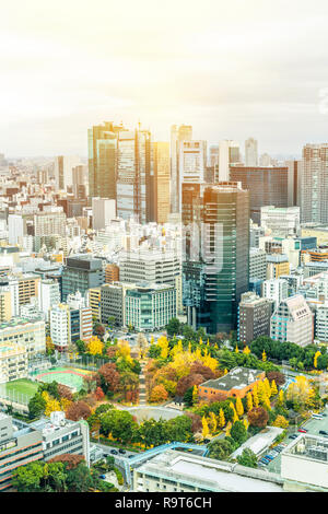Asien Business Konzept für Immobilien und Corporate Bau - urban skyline Luftbild von shiodome unter strahlend blauen Himmel und die Sonne in Tokio, Stockfoto