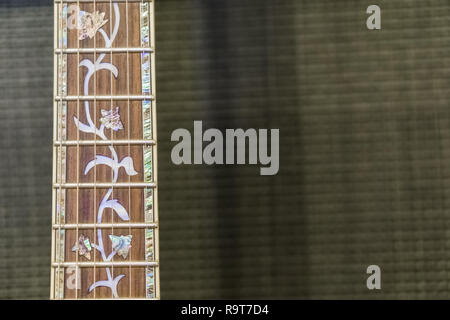 Nahaufnahme von einer e-gitarre Hals mit einem Baum des Lebens inlay eingerichtet, in der vor einem Verstärker box isoliert Stockfoto