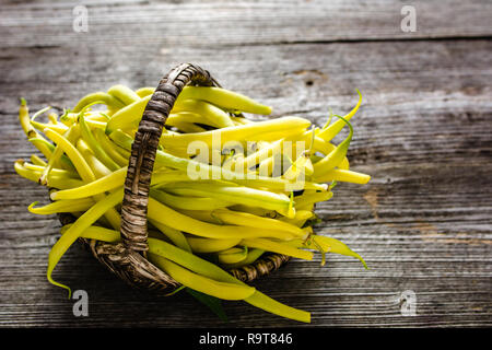 Frisch Gemüse geerntet. Gelbe Bohnen frisch aus dem Garten, biologische Lebensmittel Konzept Stockfoto