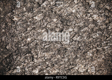 Alten rustikalen dunklen Baumrinde mit natürlichen Muster, Abstract grunge Natur Hintergrund, Nahaufnahme, Makroaufnahme. Stockfoto
