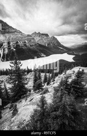 Hoch in den Bergen, über der Touristen Gebirgstouren, sind die besten Orte, um die atemberaubenden Wolf geformt Peyto Lake & Uhren Gewitterwolken zu sehen. Stockfoto