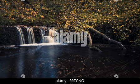 Eine herbstliche lange Belichtung stehen am Ufer des Flusses von Eller Beck in Richtung Wasserfall suchen Spaziergang Mühle Foss in Goathland Yorkshire Stockfoto