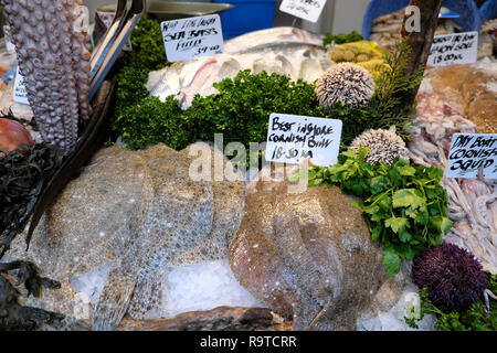 Borough Market London Fisch stall Anzeige der besten Küstennahe Cornish Brill Filets & Octopus mit Petersilie und verschiedene Meeresfrüchte in Southwark KATHY DEWITT Stockfoto