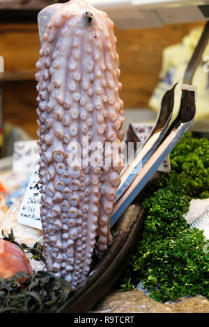 Borough Market Fische stall Display mit frischem Tintenfisch Tintenfisch Meeresfrüchte vertikale Ansicht und Petersilie zum Verkauf im November London England UK KATHY DEWITT Stockfoto