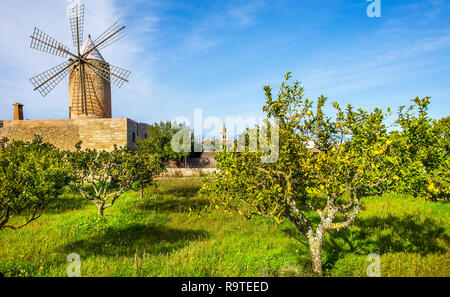 Eine alte Windmühle in Algadia Mallorca Spanien Stockfoto