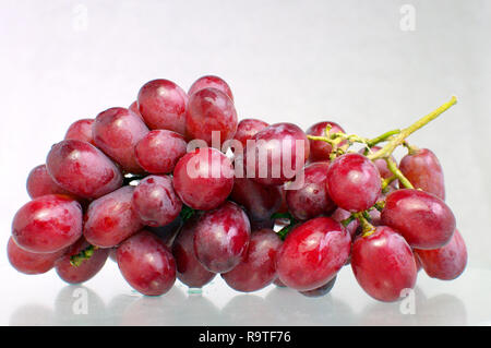 Strauß roter Kernlose Trauben (Vitis vinifera) auf weißem Hintergrund. Stockfoto