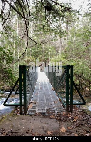 Ein grün Metall Fußgängerbrücke über die kleinen Gizzard Creek nur vordere fällt Foster in Sequatchie Tennessee. Stockfoto