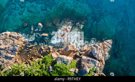 Tropische Insel mit Blick auf das Meer und die Palmen von drohne getroffen. Seychellen Luftbild. St Pierre Insel Stockfoto