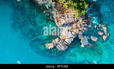 Tropische Insel mit Blick auf das Meer und die Palmen von drohne getroffen. Seychellen Luftbild. St Pierre Insel Stockfoto