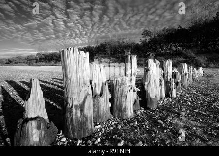 Herbst Landschaft der Ostseeküste, alte hölzerne Wellenbrecher an einem Sandstrand in Kolberg, Polen. Stockfoto