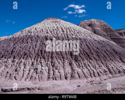 Blue Mesa Badlands von der Blauen Wald Loop Trail, Petrified Forest National Park, Arizona. Stockfoto