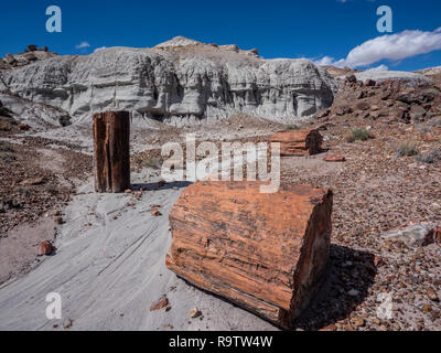 Werk in versteinertes Holz wächst, alte Straße in die Jasper Forest, Petrified Forest National Park, Arizona. Stockfoto