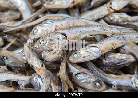 Getrocknete Sardellen in der koreanischen Küche verwendet. Getrocknete Sardellen. Stockfoto