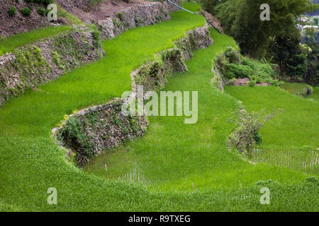 Erstaunlich Banaue Rice Terraces in den Philippinen, die von den Landwirten auf die Reiserzeugung verwendet. Touristische Attraktion manchmal als achte Wunder der Welt. Stockfoto