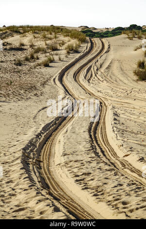 Rad Marken über den Sand der Wüste bis unendlich Stockfoto