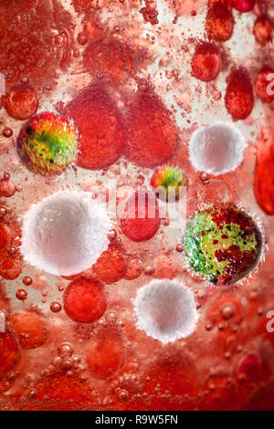Nahaufnahme von Meningitis Bakterien mit weißen Blutkörperchen konzeptionelle Bild Stockfoto