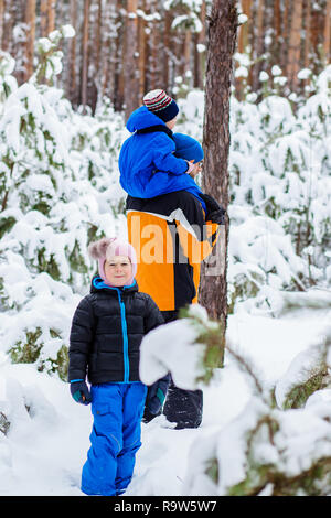 Vater geht mit seinem jungen Kinder in den Wäldern im Winter. Aktivitäten im Winter im Schnee, Schlitten und Schneebälle Stockfoto