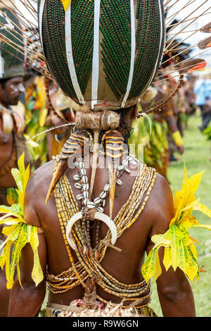 Teilnehmer in der goroka Festival von hinten, Dekorationen, viele Teile von Tieren. Stockfoto