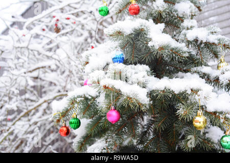 Weihnachtsbaum im Garten. Blau bedeckt Schnee mit bunten Weihnachtskugeln Dekoration Fichte. Stockfoto