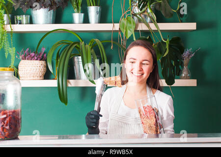 Dehydriert raw vegan trockenem Brot auf Showcase Stockfoto