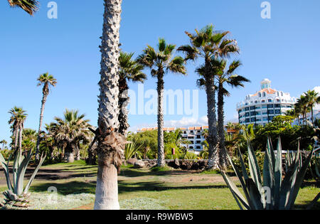 Häuser mit Palmen in der Nähe auf Teneriffa, eine der Kanarischen Inseln Stockfoto