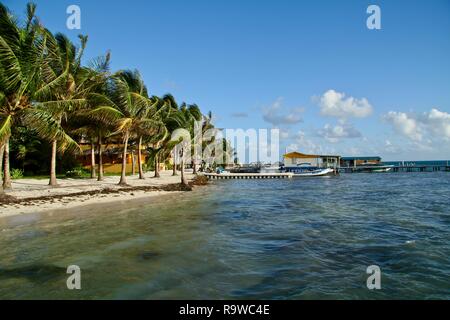 Weißer Sandstrand mit Palmen auf einem Caye in der Karibik Stockfoto