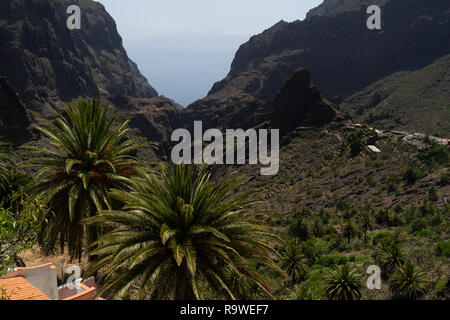 Die Vew der den Berg Macizo de Teno Gebirge und Masca Schlucht. Teneriffa. Kanarischen Inseln. Spanien. Stockfoto