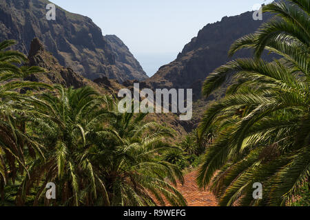 Die Vew der den Berg Macizo de Teno Gebirge und Masca Schlucht. Teneriffa. Kanarischen Inseln. Spanien. Stockfoto