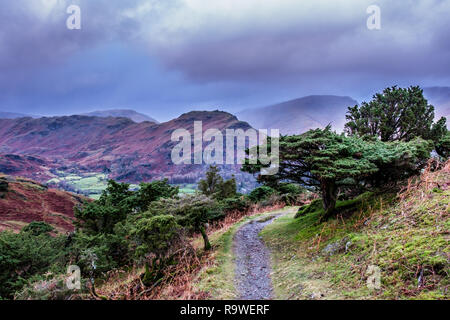 Helm Crag und große Rigg, von der unteren Flanken von Silber wie, in der Nähe von Grasmere, Lake District, Cumbria gesehen Stockfoto