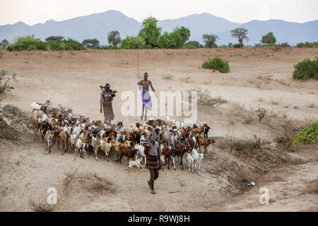 Kara Stamm herding Ziegen aus Dus-Dorf Omo Valley, Äthiopien Stockfoto