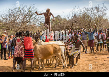 Hamar Stamm Stier springen Zeremonie der Lojira Dorf in Omo Valley, Äthiopien Stockfoto