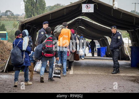 BERKASOVO, Serbien - 17. OKTOBER 2015: Flüchtlinge auf dem Weg zur kroatischen Grenzübergang Kroatien Serbien Grenze, zwischen den Städten Bapsk Stockfoto