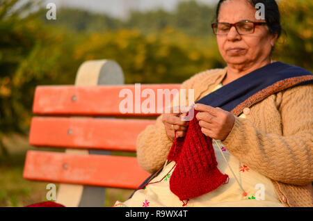 Senior indische Frauen stricken maroon Pullover im Winter in einem Park in Delhi, Indien Stockfoto