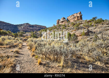 Trail in der Colorado National Monument Park, Colorado, USA. Stockfoto