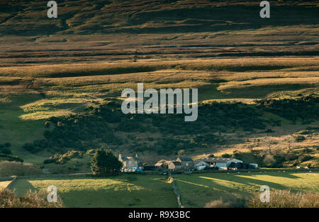 North Pennines AONB Landschaft, Abschirmung House Farm, Holwick, Teesdale, County Durham, UK am frühen Morgen winter Sonnenschein Stockfoto