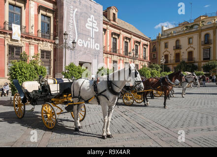 Beliebte touristische Ort mit Pferdewagen in Plaza Virgen de los Reyes, Sevilla, Spanien Stockfoto