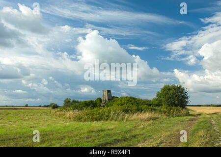 Niederwald auf der Wiese und Wolken im Himmel Stockfoto