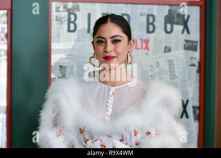 Rosa Salazar besucht die New York Screening von "Bird Box' in der Alice Tully Hall, Lincoln Center am Dezember 17, 2018 in New York City. Stockfoto