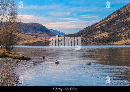 See Pearson/Moana Rua Wildlife Refuge, Südinsel, Neuseeland Stockfoto