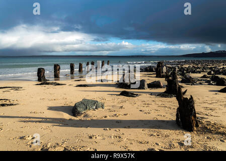 Die alten hölzernen Pfähle der aufgeschlüsselt Pier in St. Ives, Cornwall, Großbritannien Stockfoto