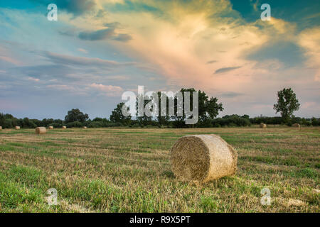 Runde Heuballen im Feld und am Abend bunte Wolken nach Sonnenuntergang Stockfoto