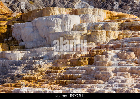 Bunte Formationen von Jupiter Terrasse an Mammoth Hot Springs Yellowstone National Park, Wyoming, USA Stockfoto