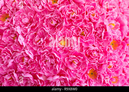 Floral background. Viele künstliche rosa Blumen in bunten Zusammensetzung. Close-up-Bild von frabic Rosen Hintergrund. Stockfoto