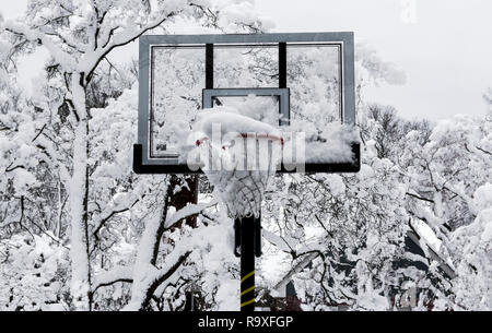 Ein basketballkorb ist voll von Schnee mit Bäumen im Schnee im Hintergrund nach einem Frühling Schnee Sturm in Long Island, New York. Stockfoto