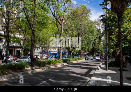 Avenida Presidente Masaryk in Polanco in Mexiko-Stadt, Mexiko Stockfoto