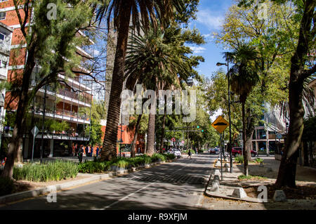 Avenida Presidente Masaryk in Polanco in Mexiko-Stadt, Mexiko Stockfoto