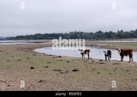 Lago Penuelas, nationale Reserve in Chile, in der Nähe von Valparaiso Stockfoto