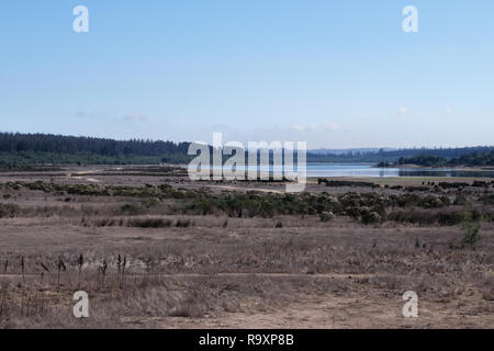 Lago Penuelas, nationale Reserve in Chile, in der Nähe von Valparaiso Stockfoto