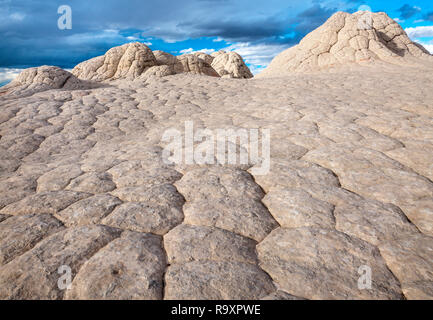 Sandstein Klippen, White Pocket, Vermillion Cliffs National Monument, Paria Plateau, Arizona Stockfoto